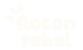 Logo Flocon Rebel overnight oats porridge